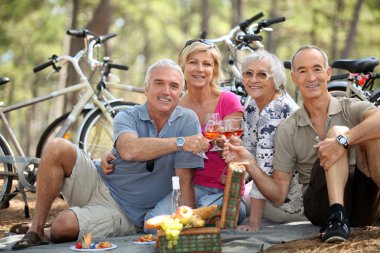 Four senior toasting at picnic clipart