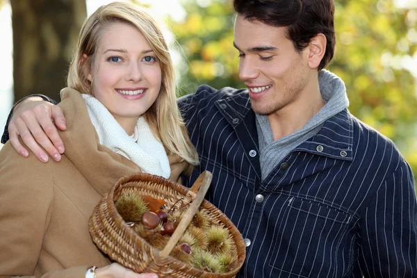 Couple collecting chestnuts in the woods — Stock Photo, Image