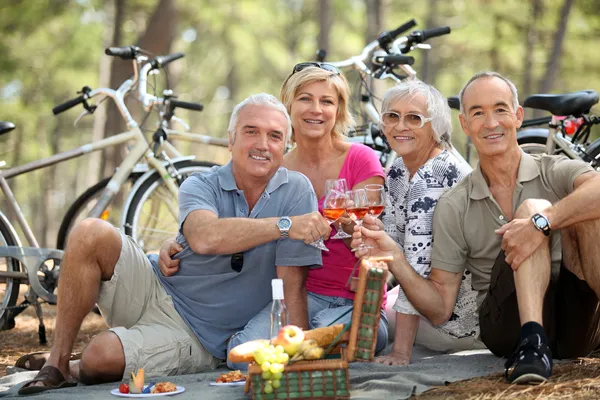 Vier senior roosteren op picnic — Stockfoto