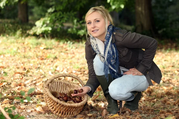 Donna che raccoglie castagne — Foto Stock