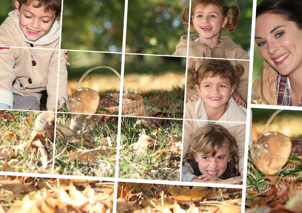 Svampplockning i skogen collage — Stockfoto