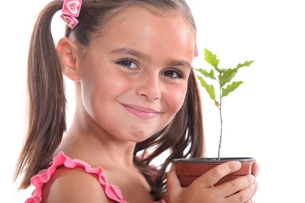 年轻女孩与橡树的树苗 — 图库照片