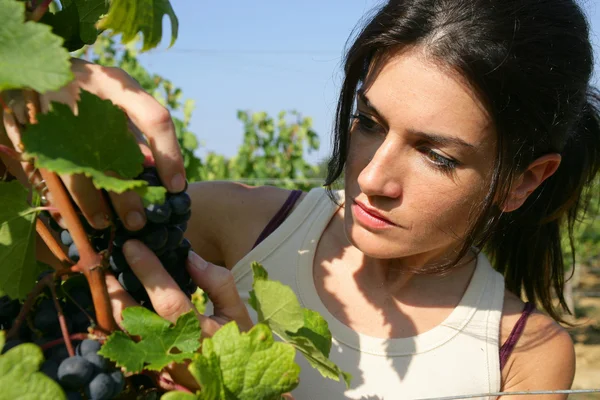 Retrato de mulher observando um monte de uvas — Fotografia de Stock