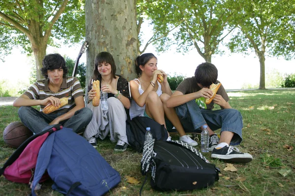 Picnic de adolescentes en el parque — Foto de Stock