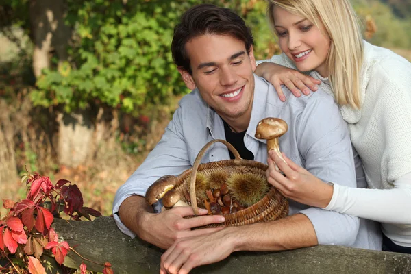 Giovane coppia raccolta funghi — Foto Stock