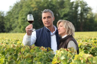 Couple tasting wine in vineyard clipart