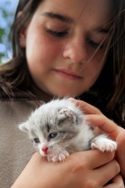 Little girl holding a kitten clipart