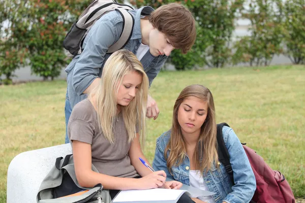 Estudiantes revisando fuera — Foto de Stock