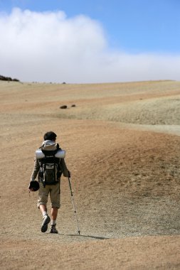 Man backpacking in the steppe clipart