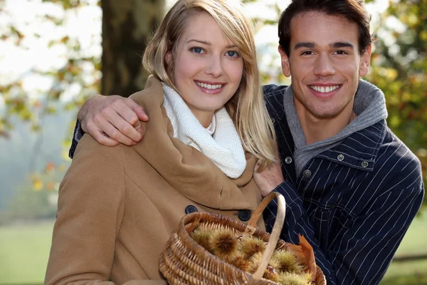 Ehepaar sammelt Kastanien — Stockfoto