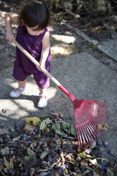 Menina raking folhas — Fotografia de Stock
