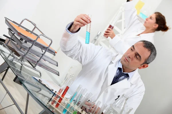 Working in a laboratory — Stock Photo, Image