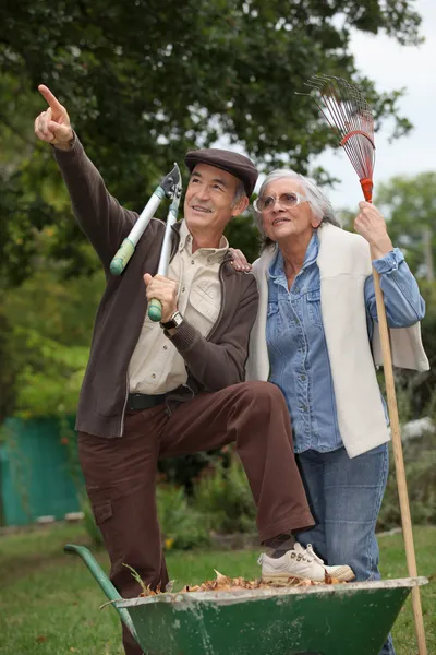 Senior man and senior gardening — Stock Photo, Image