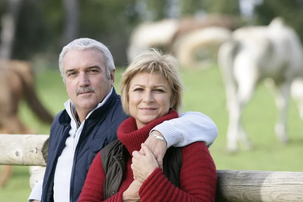 Couple standing in front of field of horses — Stock Photo, Image