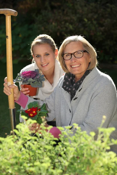 Ženy výsadby květin — Stock fotografie