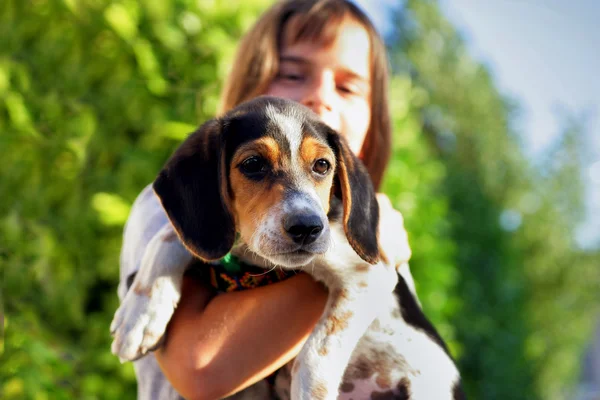 Uma criança segurando um cão — Fotografia de Stock