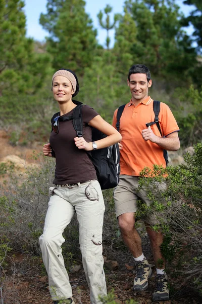 年轻的夫妇在丛林徒步旅行 — 图库照片