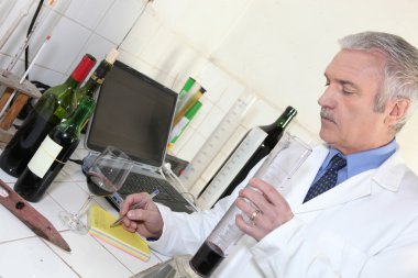 Oenologist testing a wine clipart