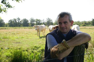 Farmer in a field of cattle clipart