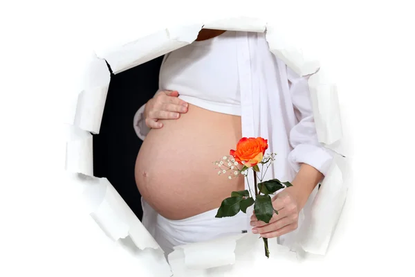 Беременная женщина с розой в руках — стоковое фото