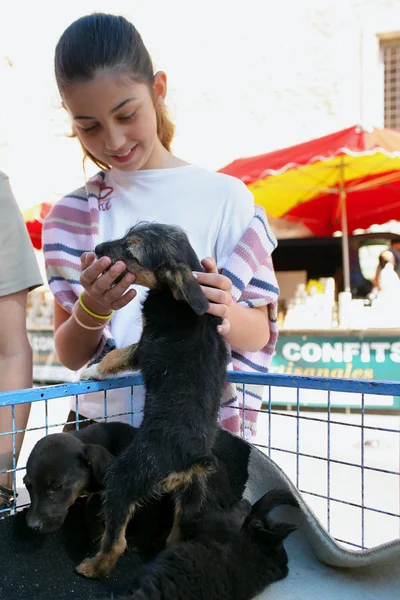 Chica joven acariciando a un cachorro — Foto de Stock