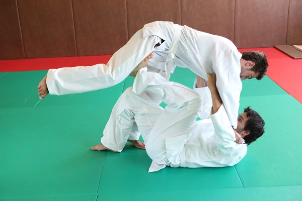 Judo håller du ned. — Stockfoto