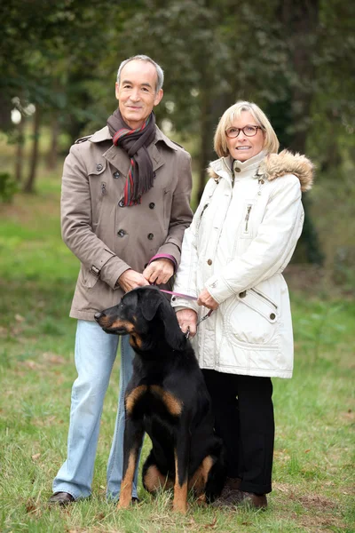 Älteres Paar geht mit Hund im Park spazieren — Stockfoto