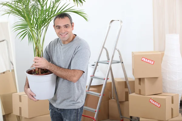 Чоловік рухає будинок з рослиною — стокове фото