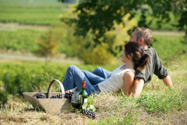 Par som dricker vin i ett fält — Stockfoto
