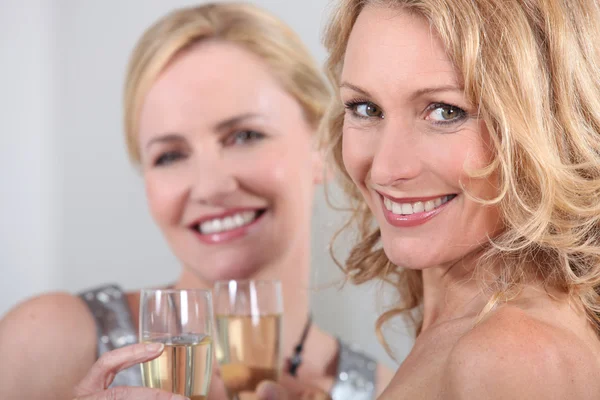 Friends celebrating with a glass of wine — Stok fotoğraf