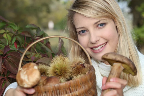 Mulher reunindo cogumelos em cesta — Fotografia de Stock