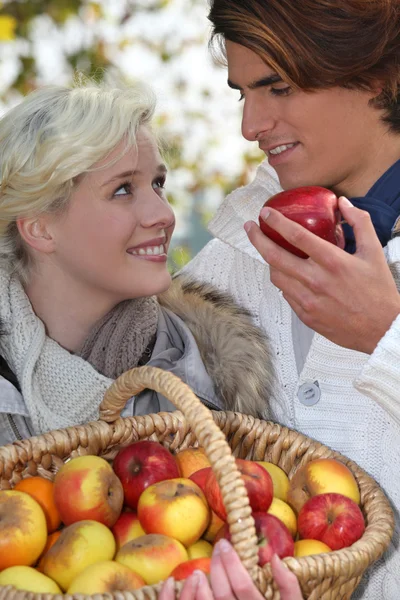 Um casal que foi apanhar maçãs. . — Fotografia de Stock