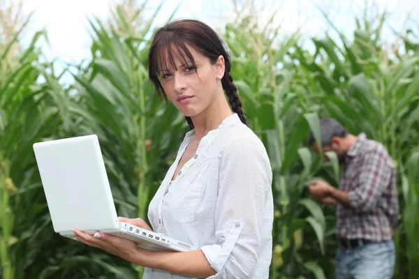 养殖夫妇与一台笔记本电脑在一个字段中的玉米 — 图库照片