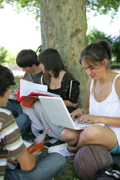 Dospívající seděl studiem strom — Stock fotografie