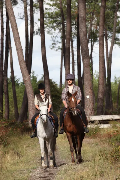 两人骑着马的组 — 图库照片