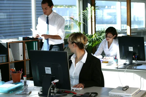 Företagare som arbetar på kontoret — Stockfoto