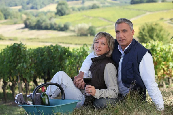 Couple tasting wine in field — Stock Photo, Image
