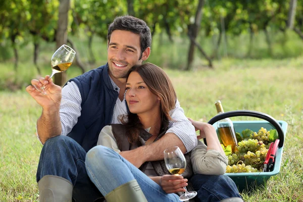 Casal desfrutando de uma garrafa de vinho enquanto colhe uvas — Fotografia de Stock
