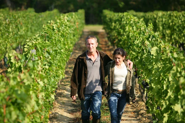 Paar spaziert in seinem Weinberg — Stockfoto