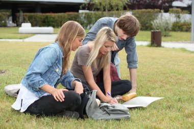 Three students studying on the grass clipart