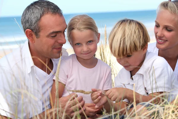 Giovane famiglia in spiaggia — Foto Stock