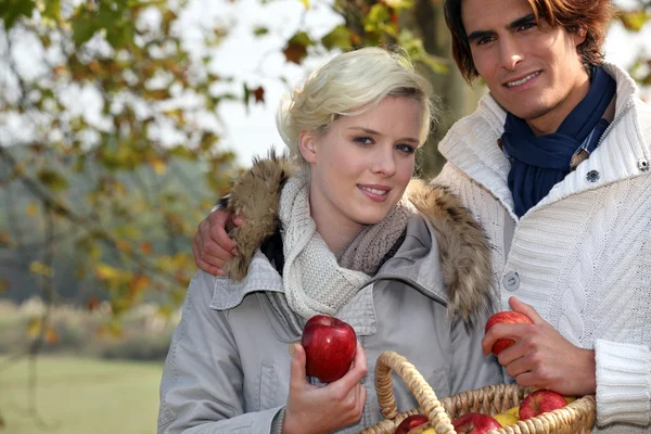 Счастливая пара в парке собирает яблоки — стоковое фото