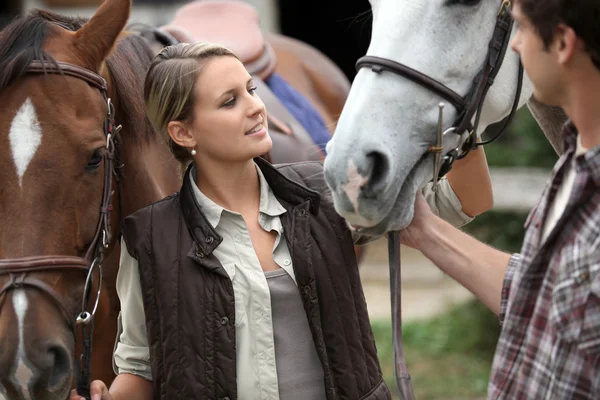 Portrait of a young woman with horses — Stock Photo, Image