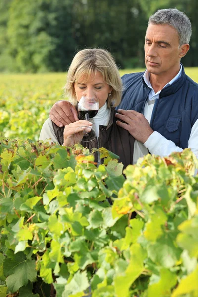 Casal degustação de vinho em uma vinha — Fotografia de Stock