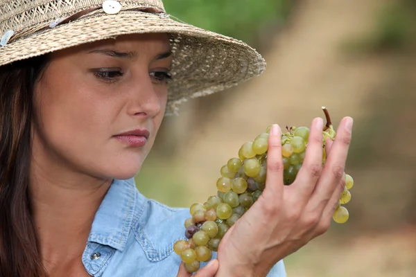Vrouw kijken naar druiven — Stockfoto
