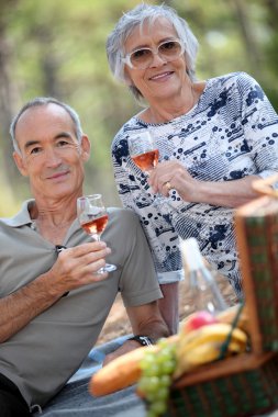 Older couple drinking rose wine with a picnic clipart