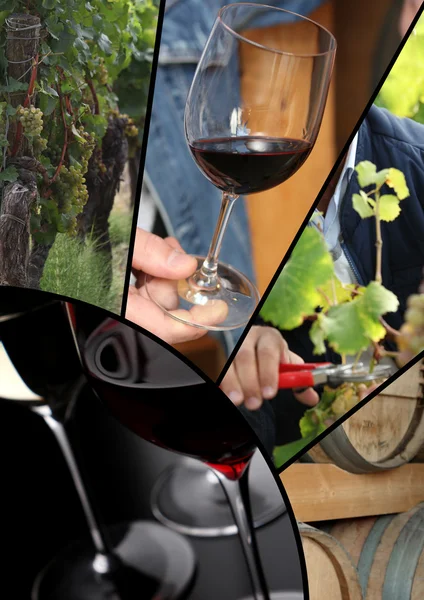 葡萄酒图像和风土的抽象拼贴画 — 图库照片