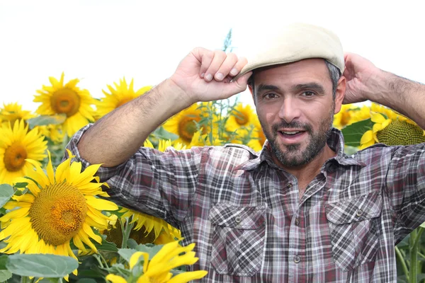 Un agriculteur dans un champ de tournesols — Photo