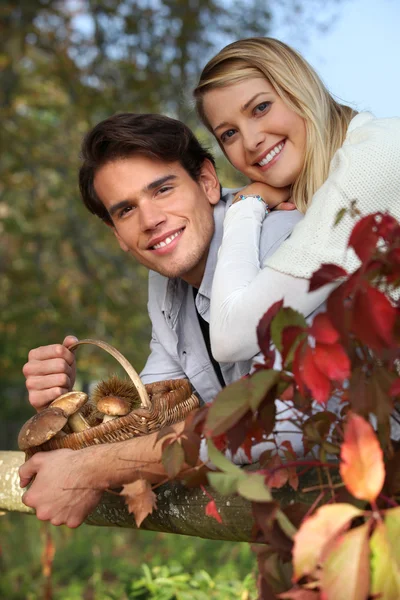Couple ramassant des champignons dans le panier — Photo