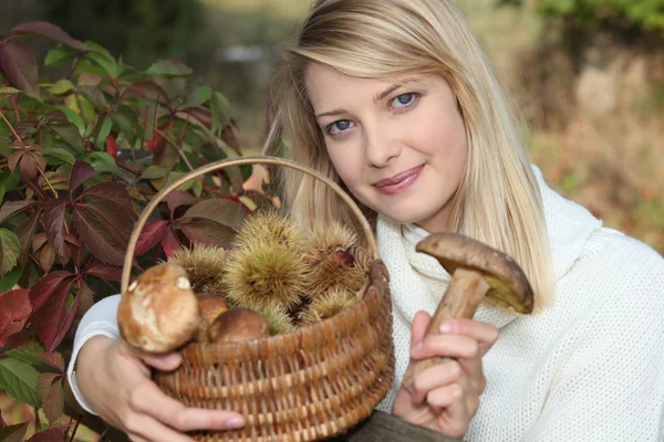 Mulher recolhendo cogumelos e castanhas — Fotografia de Stock